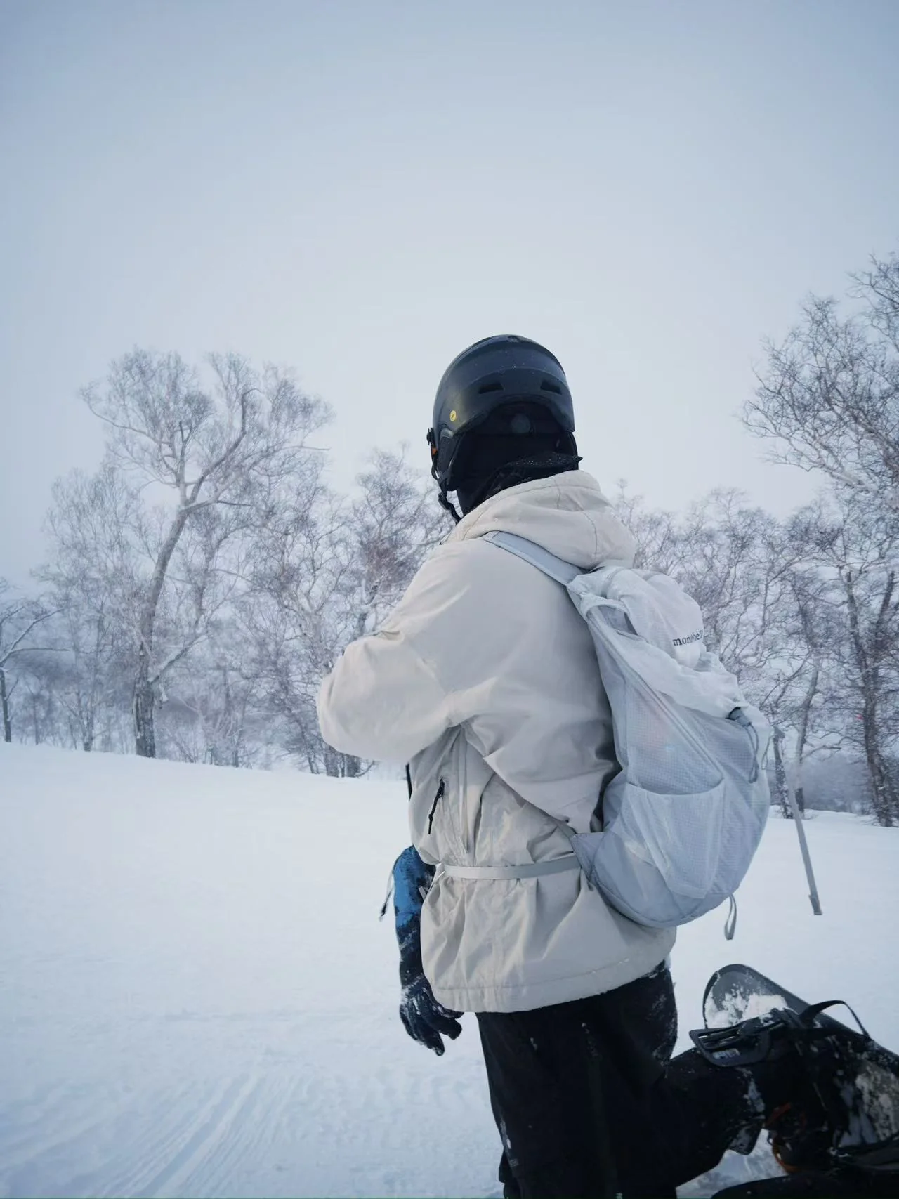 滑雪 · 树林雪道